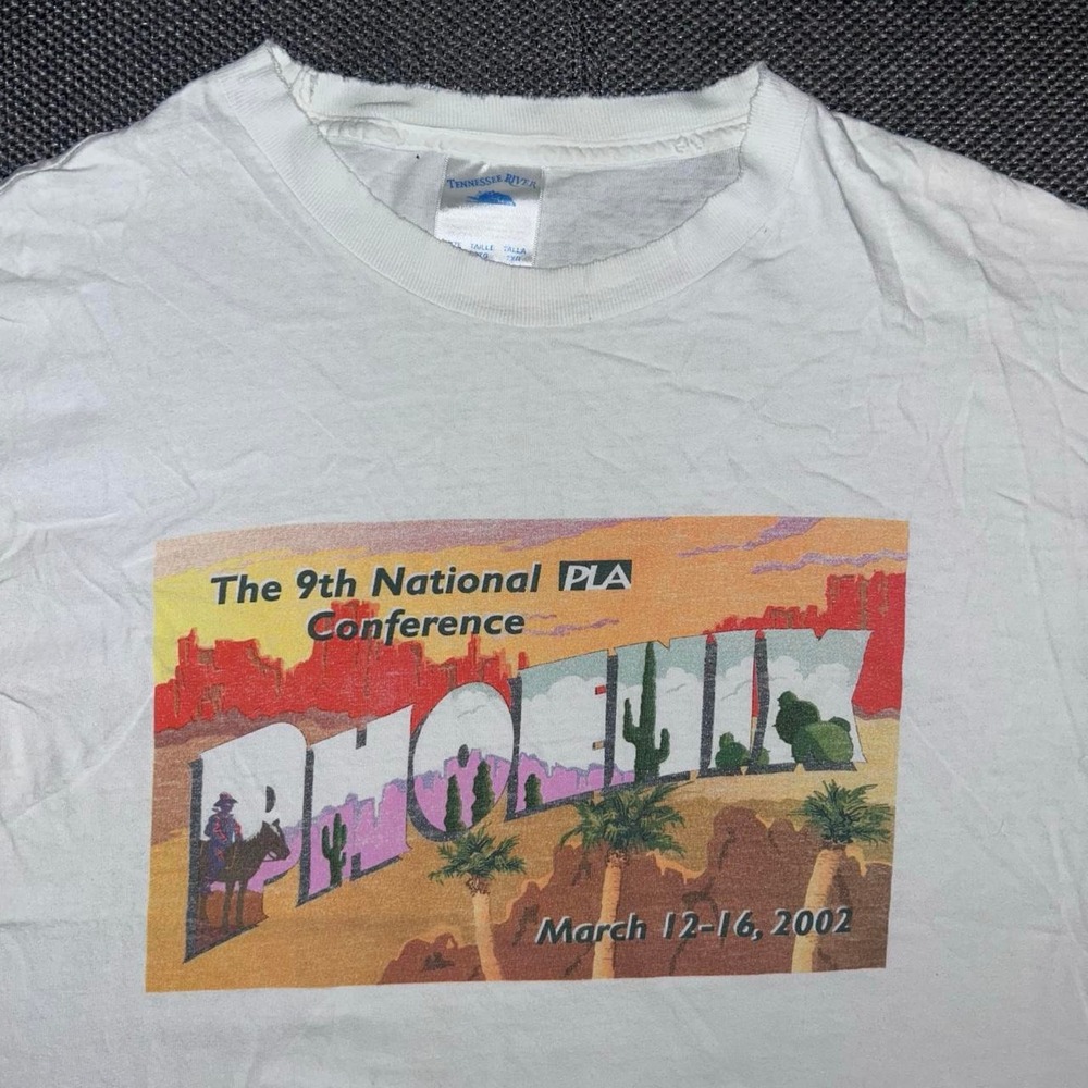 Vintage Y2K Phoenix Arizona Desert Skyline Distressed Art Style T Shirt 2XL